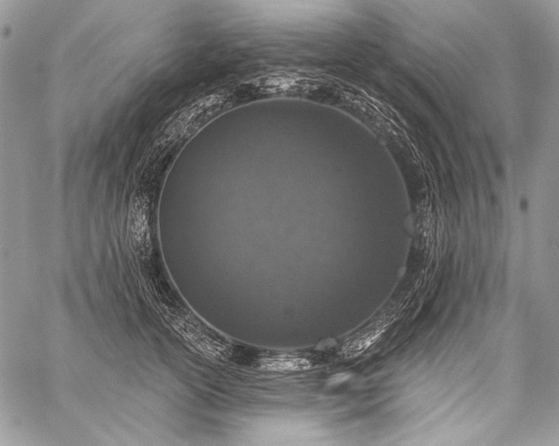 X0000059220754200510141012