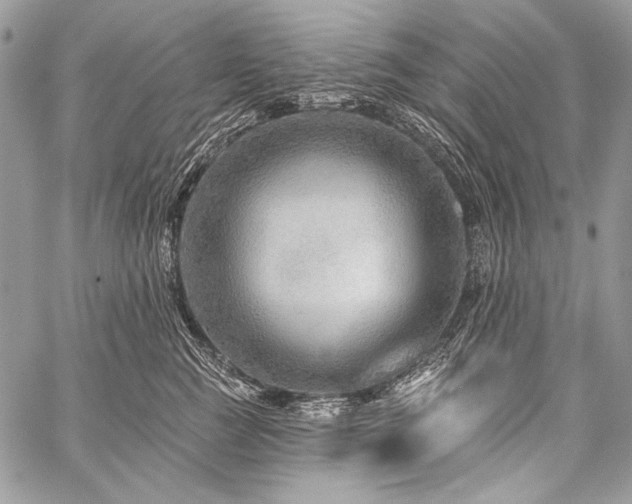 X0000059220761200510141012