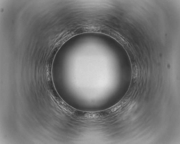 X0000059220764200510141012