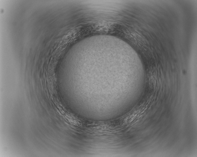 X0000059220769200510141011