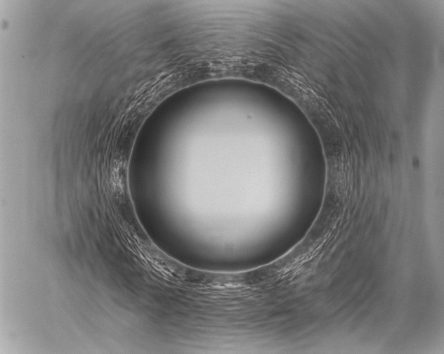 X0000059220770200510141011