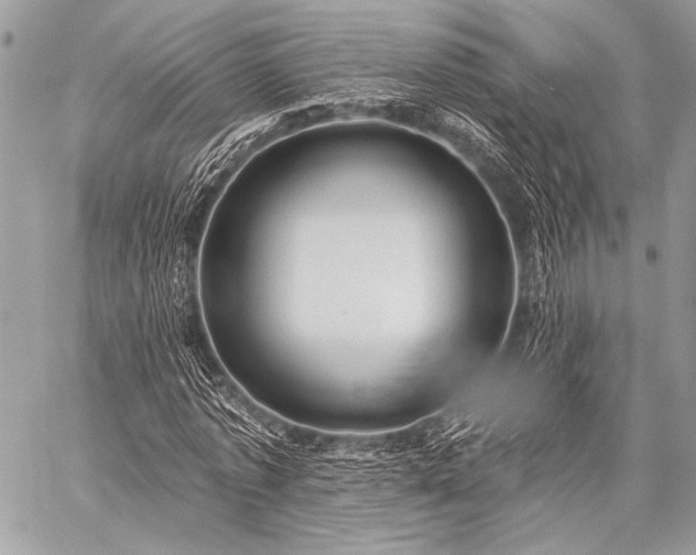 X0000059220773200510141011