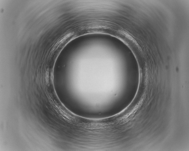 X0000059220777200510141011