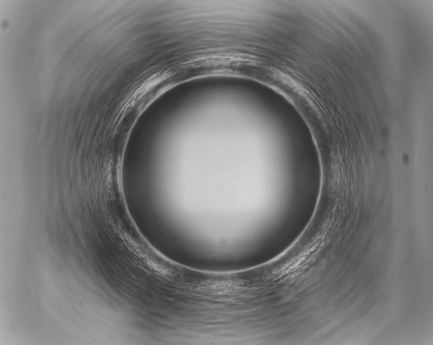 X0000059220778200510141011