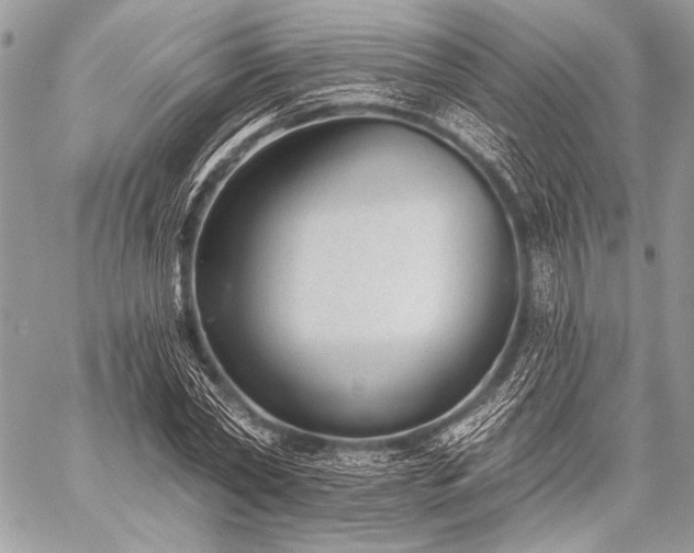 X0000059220782200510141011