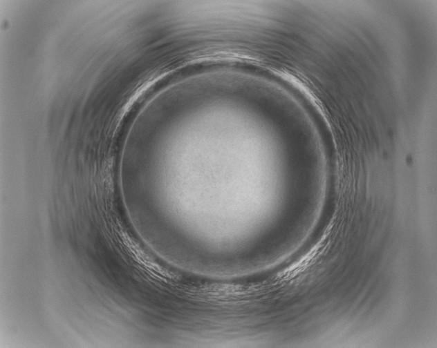 X0000059220783200510141011