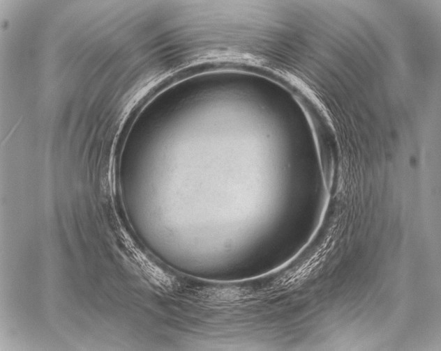 X0000059220791200510141011