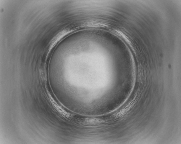 X0000059220795200510141011