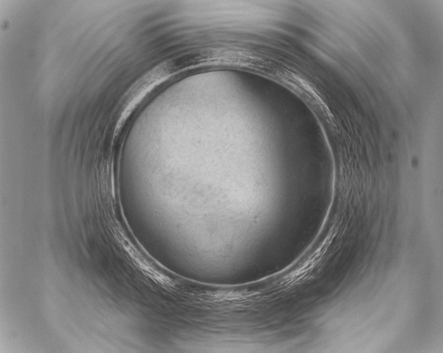X0000059220796200510141011