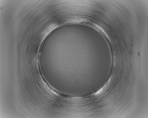 X0000059220802200510141011