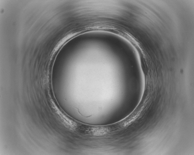 X0000059220803200510141011