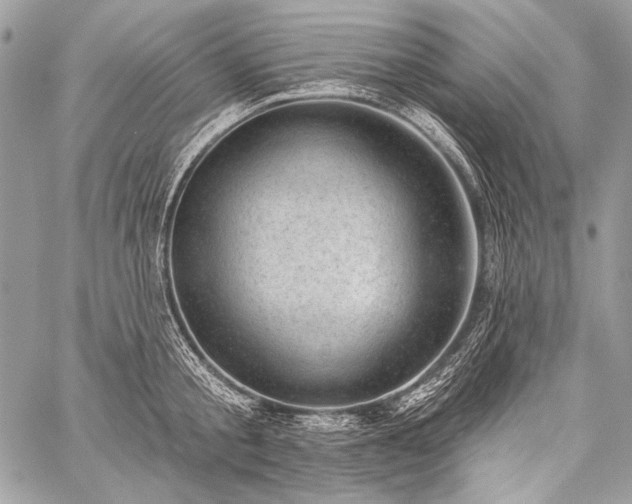 X0000059220805200510141011