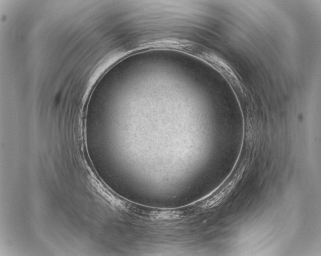 X0000059220808200510141011