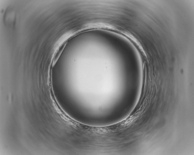 X0000059220815200510141011