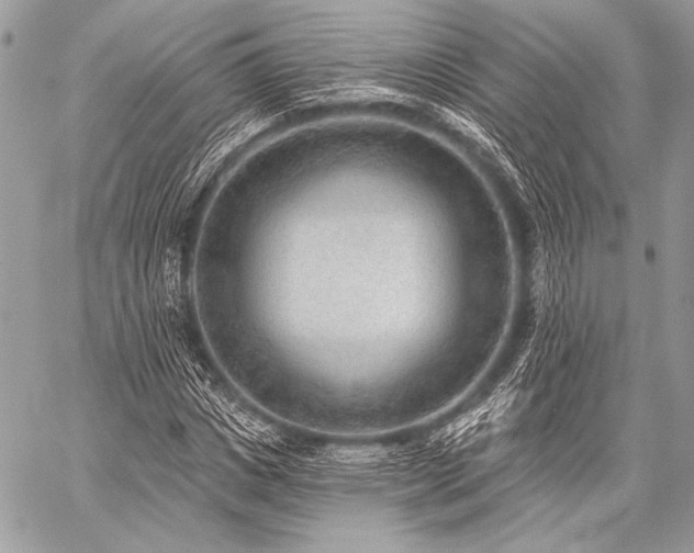 X0000059220825200510141010