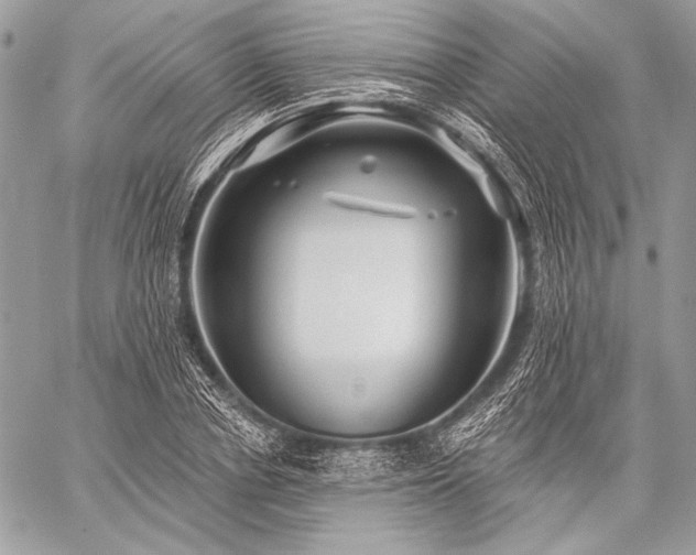 X0000059220834200510141010