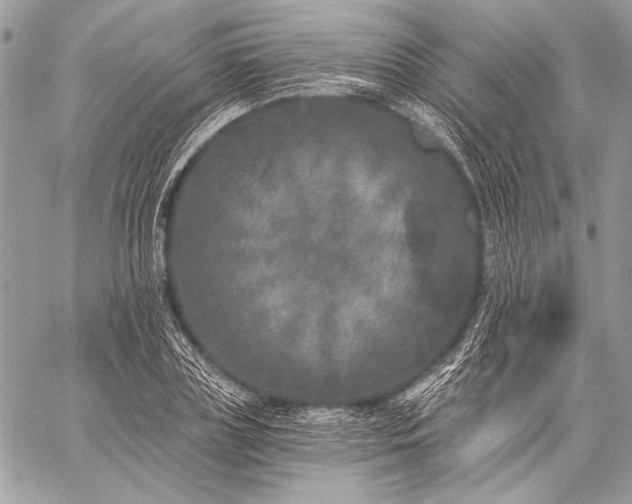 X0000059220835200510141010