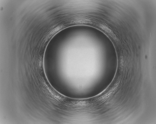 X0000059220841200510141010
