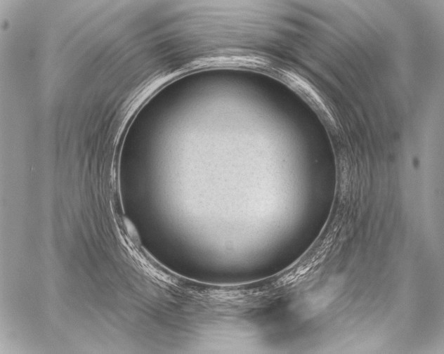 X0000059220852200510141010