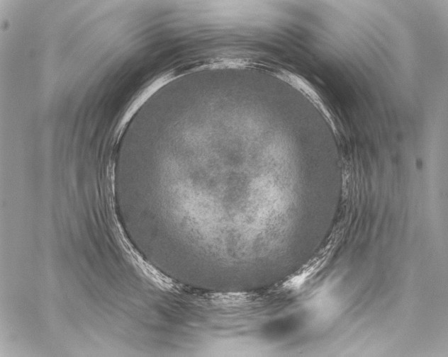 X0000059220859200510141010