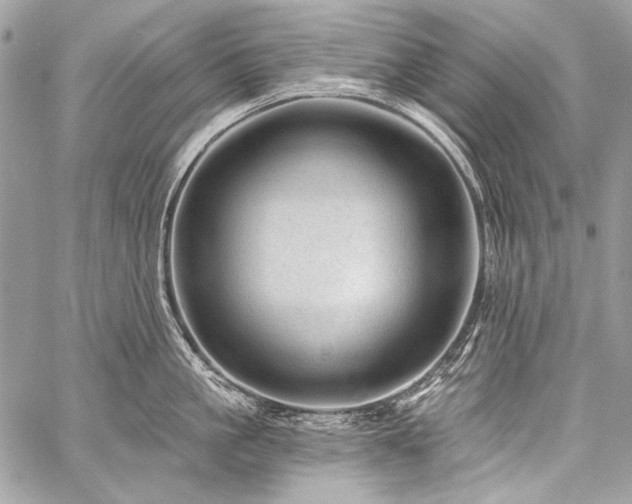 X0000059220861200510141010