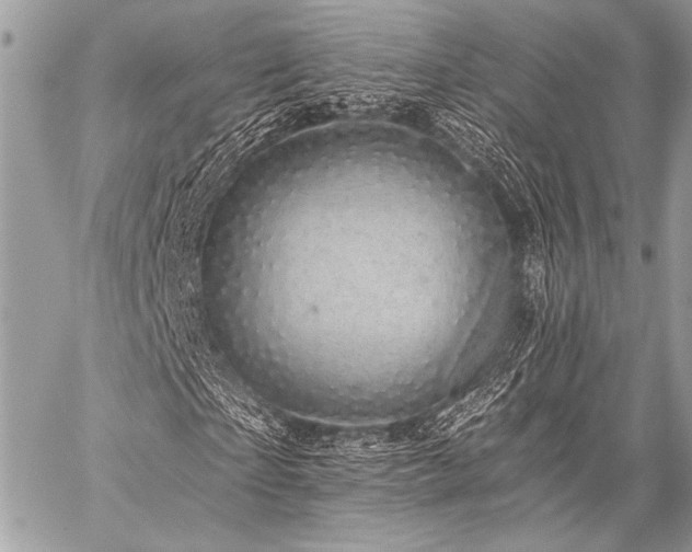 X0000059220865200510141010