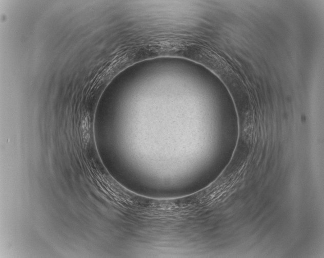 X0000059220866200510141010