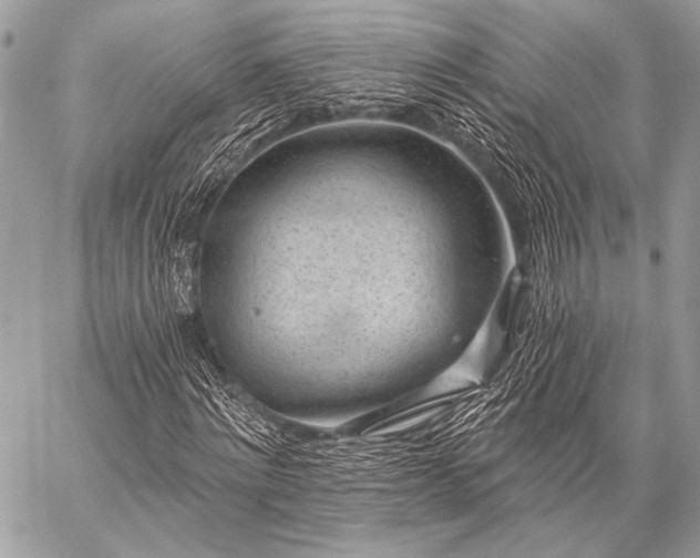 X0000059220868200510141010