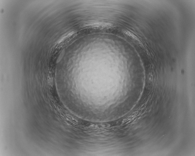 X0000059220869200510141010