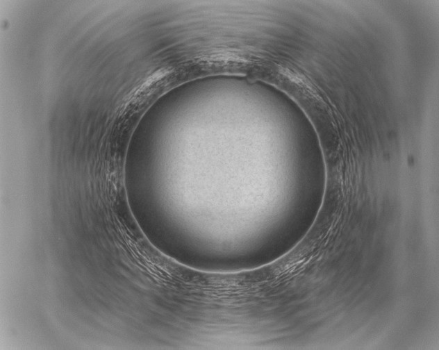X0000059220870200510141010
