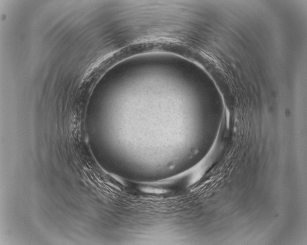 X0000059220872200510141010