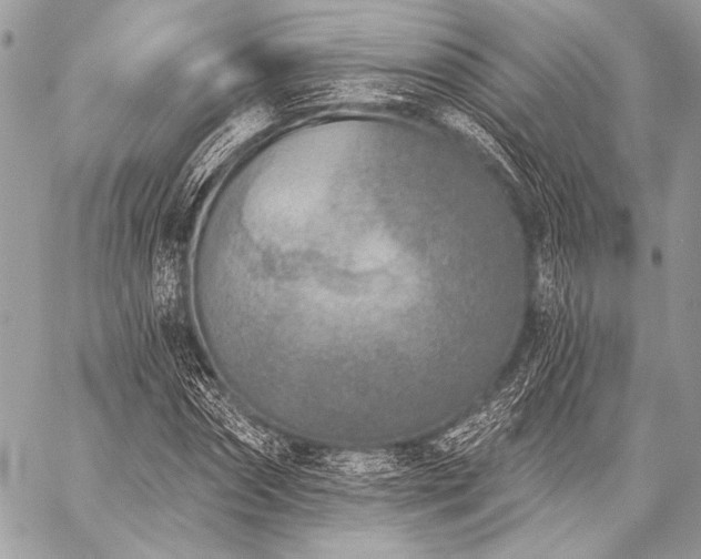 X0000059220874200510141010