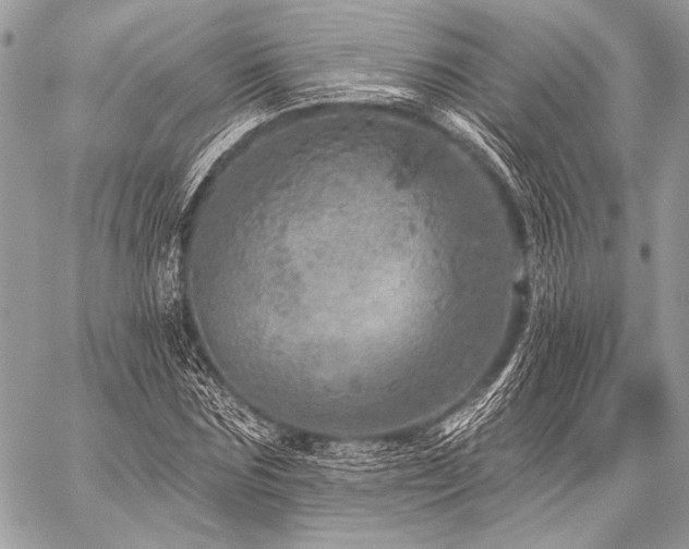 X0000059220875200510141010