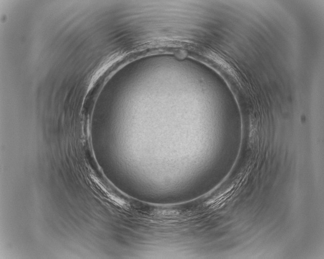 X0000059220878200510141009
