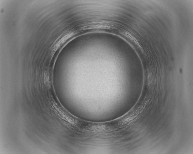 X0000059220882200510141009