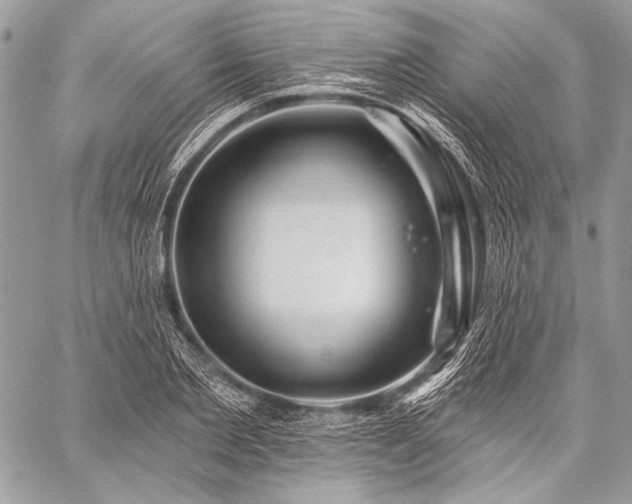 X0000059220885200510141009