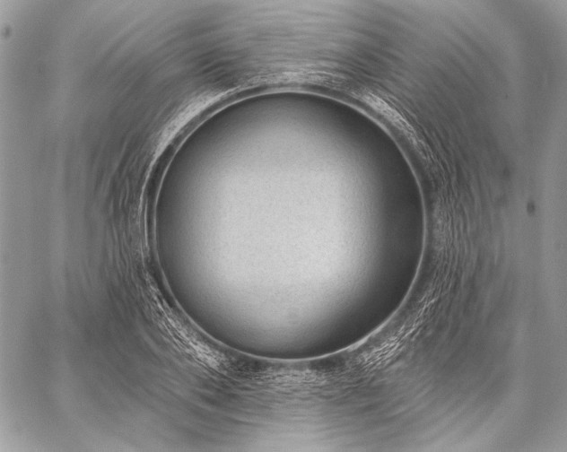 X0000059220886200510141009