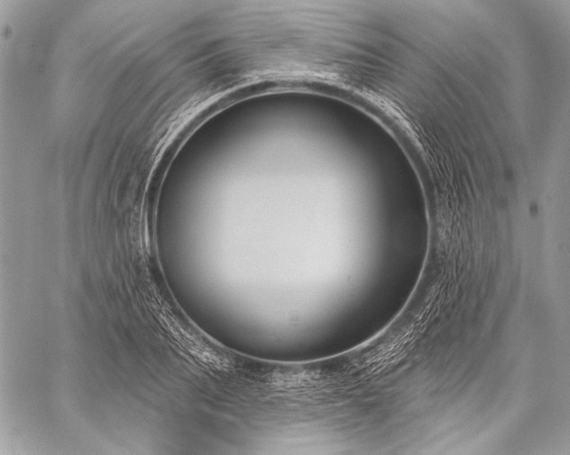 X0000059220887200510141009