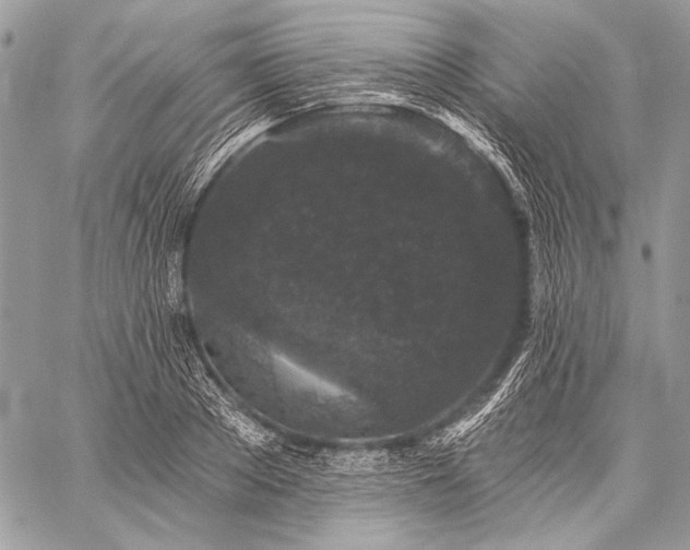 X0000059220889200510141009
