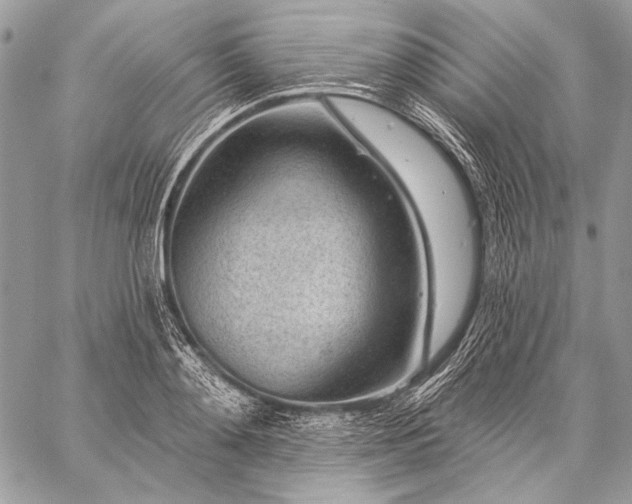 X0000059220892200510141009