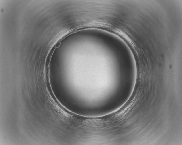 X0000059220902200510141009