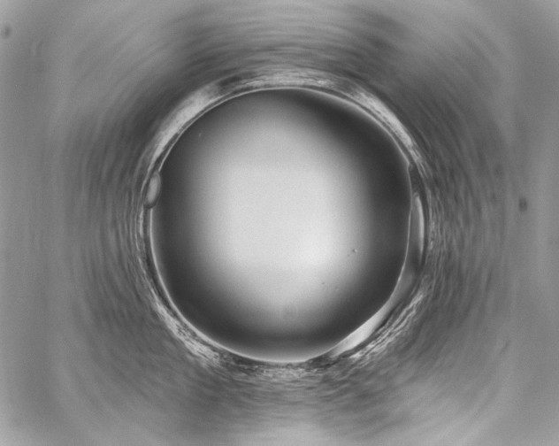 X0000059220909200510141009