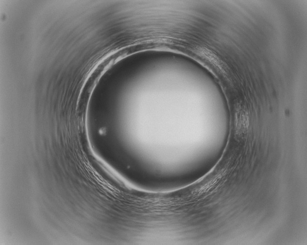 X0000059220924200510141008
