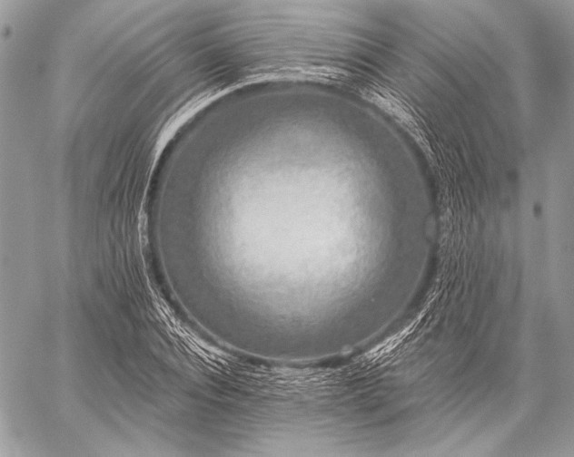 X0000059220928200510141008