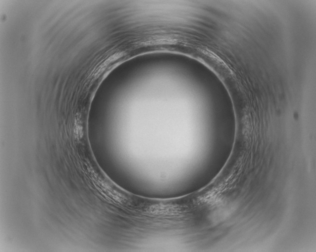 X0000059220929200510141008