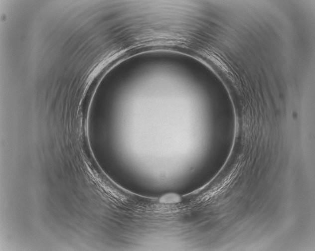 X0000059220933200510141008