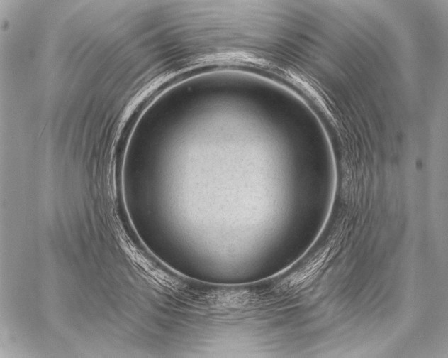 X0000059220939200510141009
