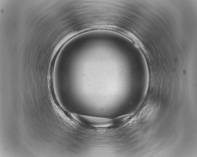 X0000059220955200510141009