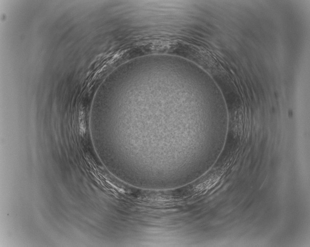 X0000059220962200510141008