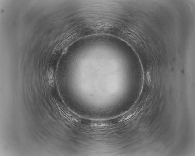 X0000059220963200510141008